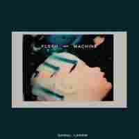 Cover for Flesh and Machine